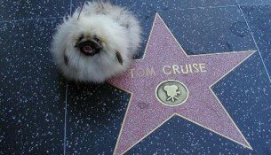 Копирайтерам: основы cценарного мастерства помогут в создании крутого контента