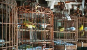 Как правильно вести корпоративный Twitter. 4 принципа.